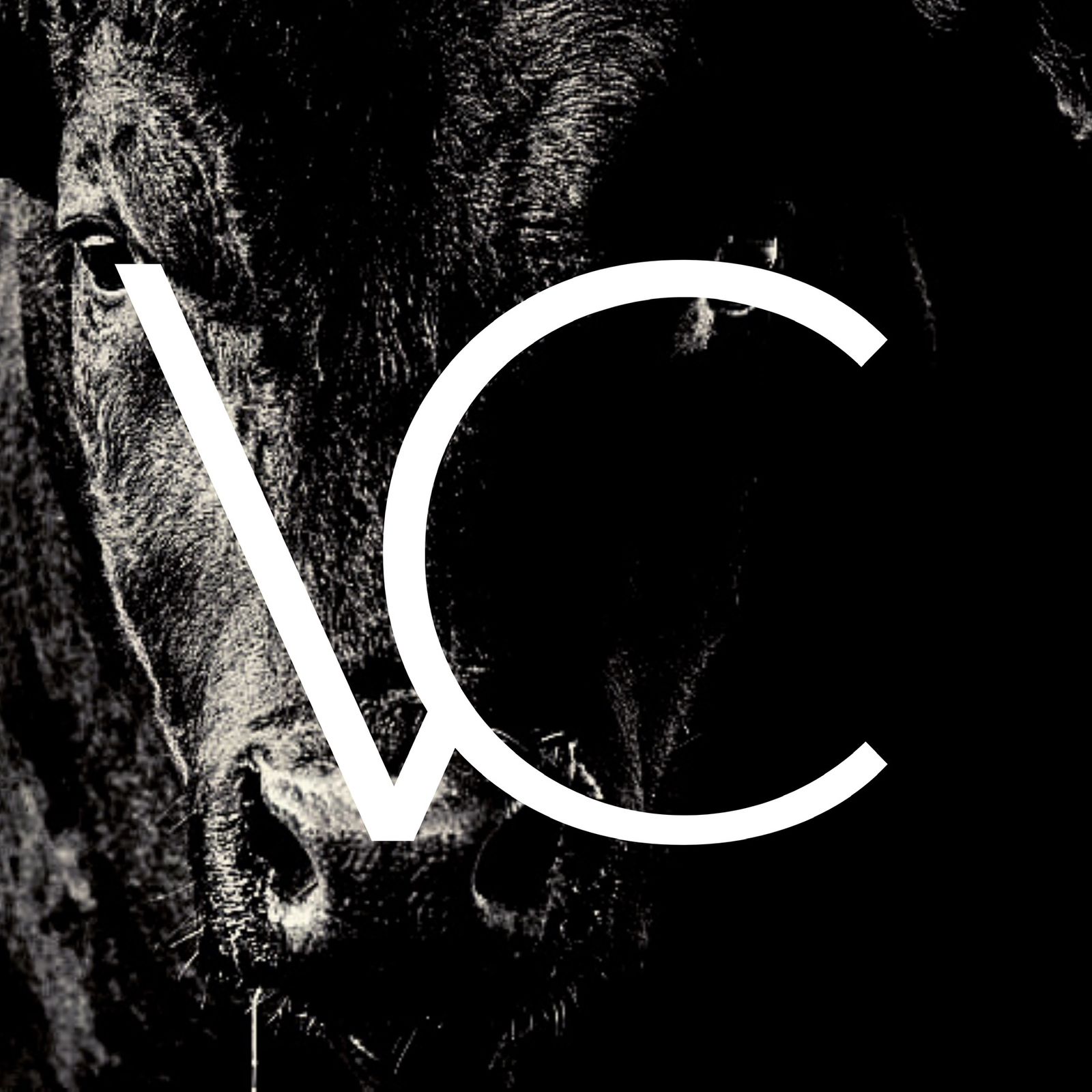 KIT VETERINÁRIO DE ELITE